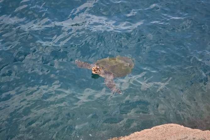 Arraial do Cabo Tour from Rio de Janeiro - A Day in Paradise: Exploring Arraial do Cabo from Rio de Janeiro