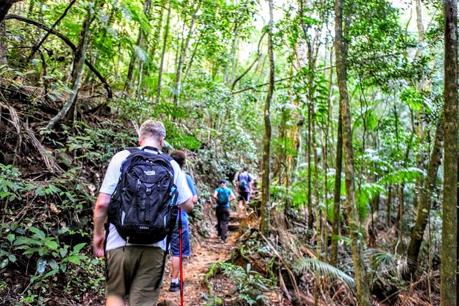 Adventure & History at Tijuca Forest (small group or private) - Key Points