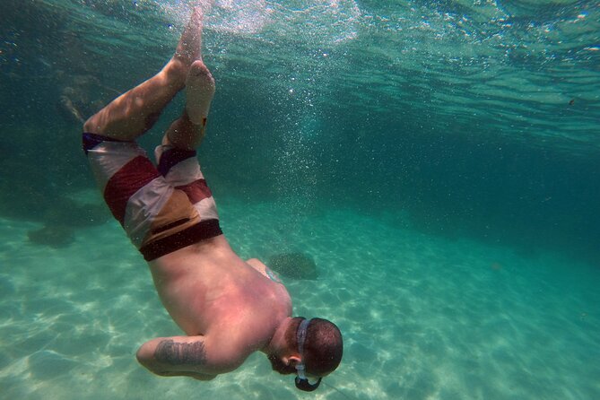 Ilha Grande with Speedboat Tour - From Rio de Janeiro - What You Can Expect from This Day Trip
