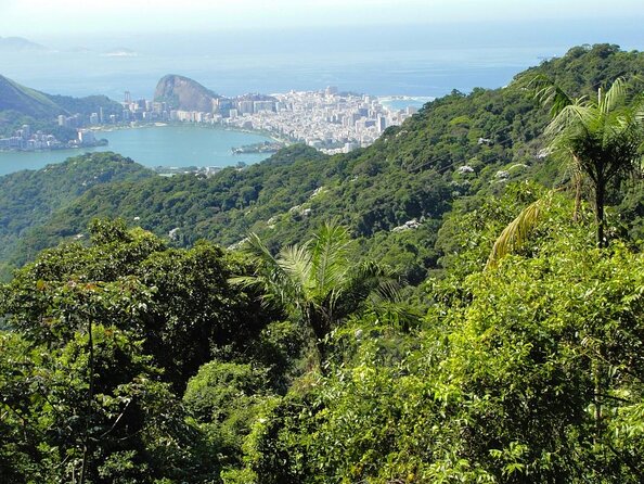Tijuca National Park and all its wonders - Discover the Wonders of Tijuca National Park with a Guided Tour