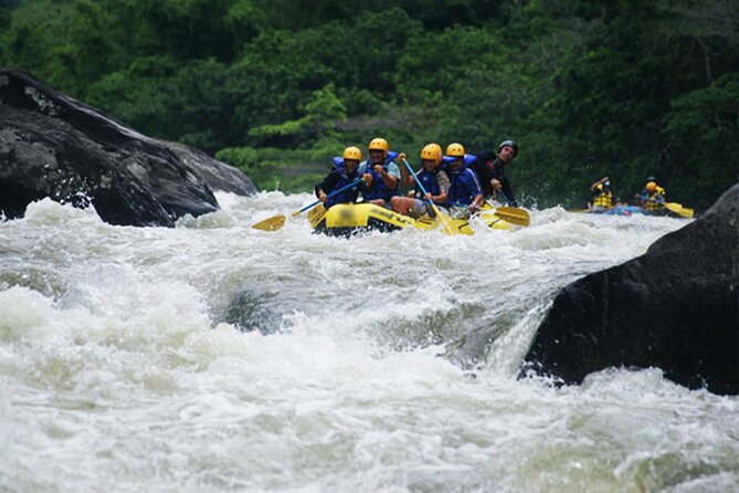 Rafting Tour in Rio de Janeiro - Key Points