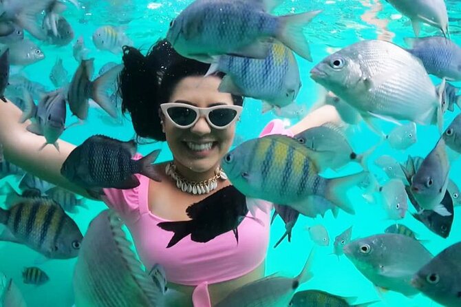 Angra dos Reis Boat Tour with Lunch - Key Points