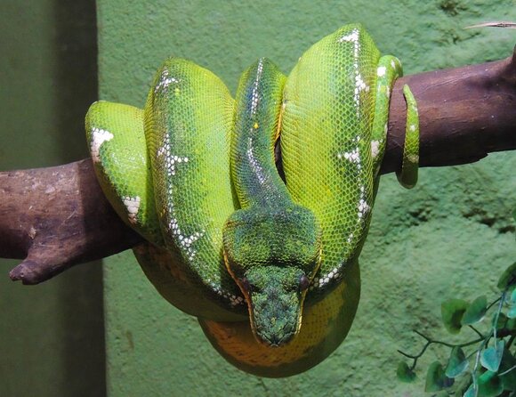 Private Family Fun with Kids tour in Rio: Including the Christ - Key Points