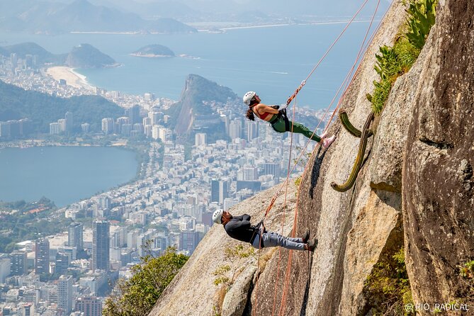 Trail and Rappel on Morro Dois Irmãos - Who Will Love This Tour?