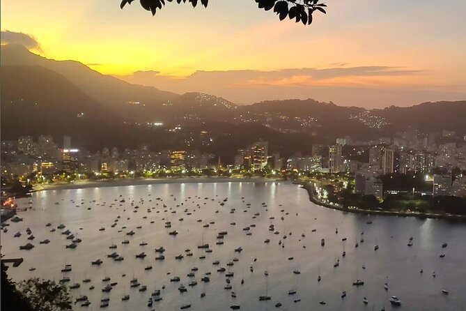 Private and Customizable Tour in Rio de Janeiro - Who Should Consider This Tour?