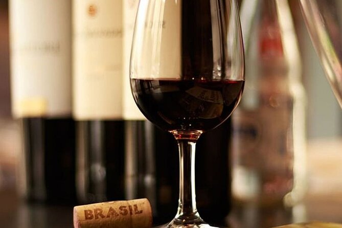 Brazilian Meats and Snacks + South American Wines Guided Dinner - The Value Proposition: Why You Should Consider This Experience