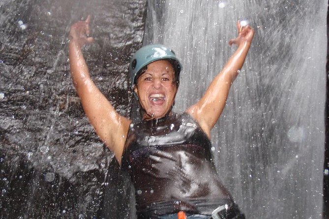 Tijuca National Park Hike and Waterfall Rappelling - Wildlife and Nature: What You Might Encounter