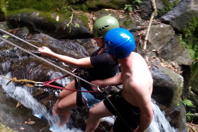 Tijuca National Park Hike and Waterfall Rappelling - Authentic Experience and Value