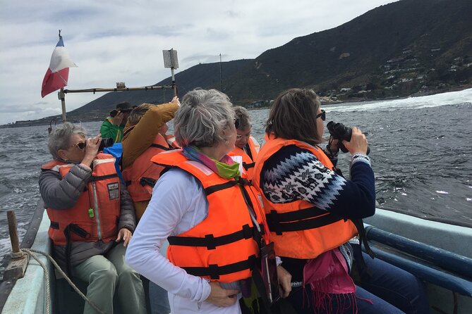 Penguins Watching-Navigation & HorseRide & Barbecue From Santiago - Why This Tour Offers Great Value