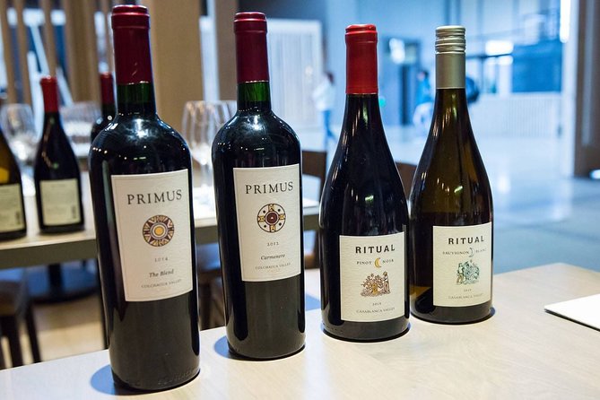 Premium Wine Tasting in Santiago de Chile - Key Points