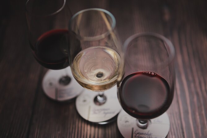 Premium Wine Tasting in Santiago de Chile - FAQ