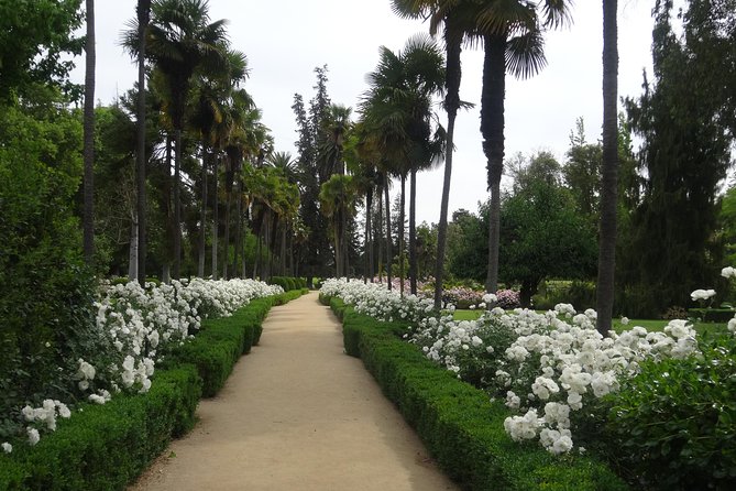 Traditional Undurraga tour - Key Points