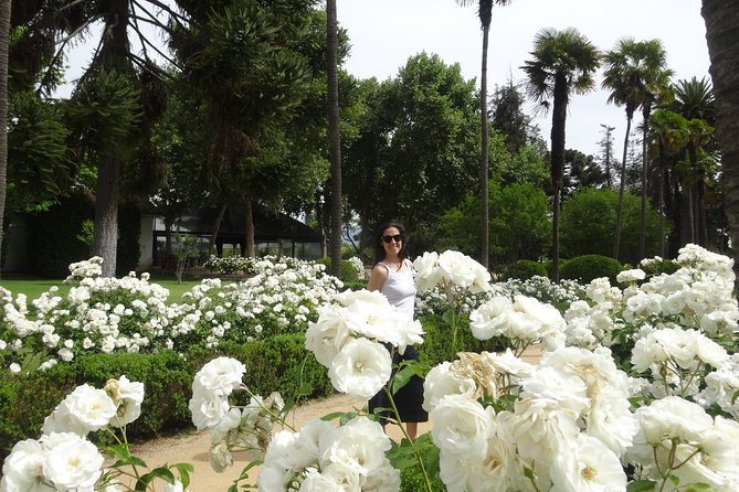 Traditional Undurraga tour - Who Should Consider This Tour?