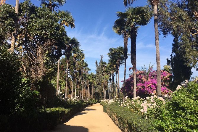 Santiago: Full day visiting Santa Rita & Undurraga vineyards. Entraces included - Comprehensive Review of the Santiago Winery Tour