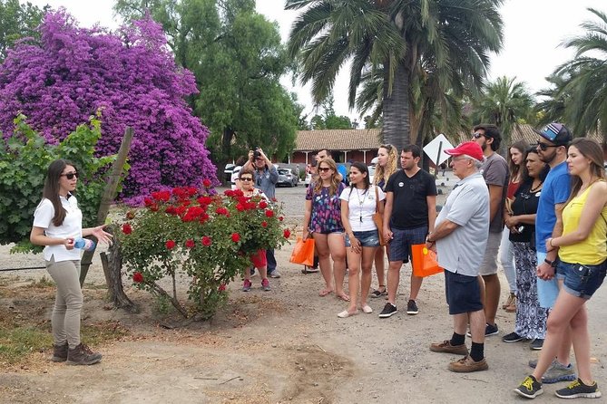 Santiago: Full day visiting Santa Rita & Undurraga vineyards. Entraces included - Final Thoughts