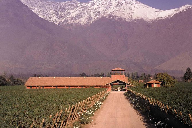 Santiago Full Day Tour to Maipo Valley, Include Entraces - Guest Feedback