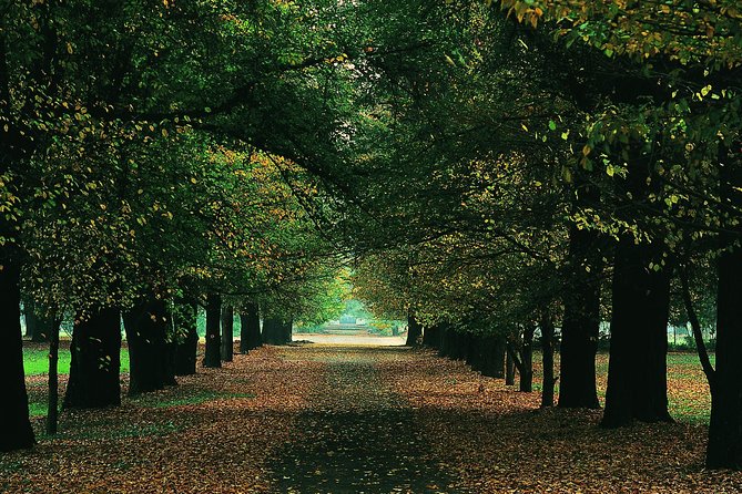 "Premium Wine Tour" Viña Cousiño Macul Official english - Authenticity and Cultural Connection