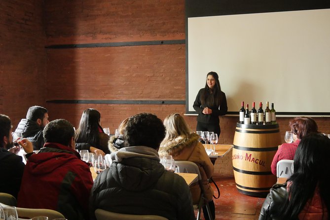 "Premium Wine Tour" Viña Cousiño Macul Official english - Key Points