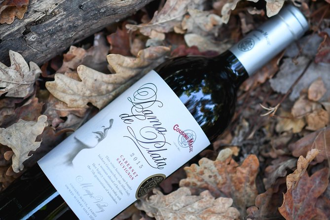 "Premium Wine Tour" Viña Cousiño Macul Official english - Final Thoughts: Is It Worth It?