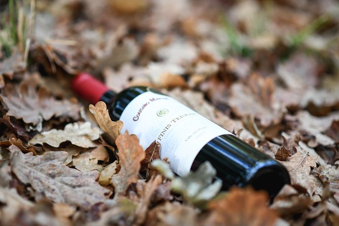 "Premium Wine Tour" Viña Cousiño Macul Official english - The Sum Up: Is it Worth It?