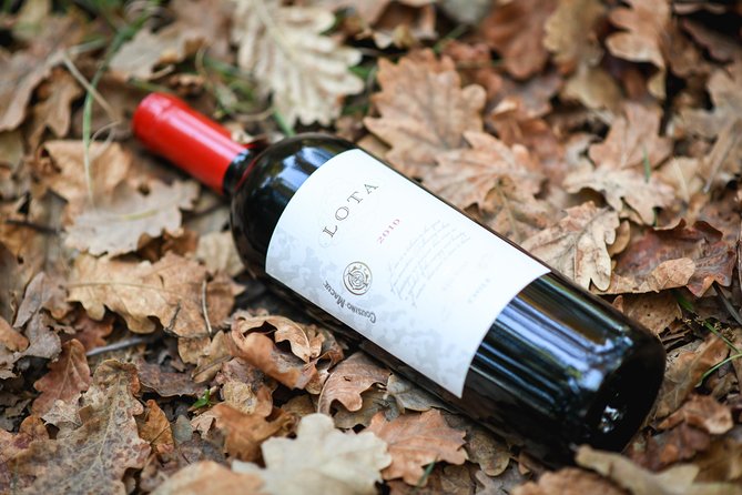 "Premium Wine Tour" Viña Cousiño Macul Official english - Who Should Consider This Tour?