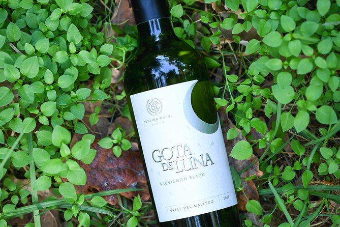 "Premium Wine Tour" Viña Cousiño Macul Official english - FAQ