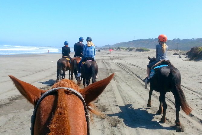 Viña del Mar and Valparaiso Private Tour Including Horseriding - Who Will Love This Tour?
