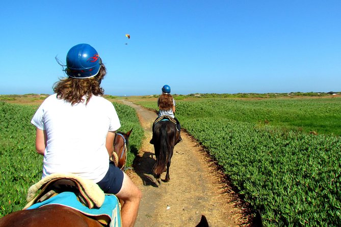 Viña del Mar and Valparaiso Private Tour Including Horseriding - Authentic Experiences and Insights from Travelers