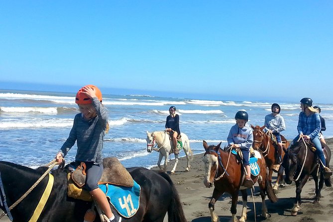 Viña del Mar and Valparaiso Private Tour Including Horseriding - FAQs