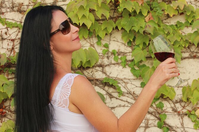 Concha y Toro Vineyard Traditional Tour - The Itinerary: What to Expect