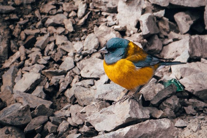 Reservoir plaster + roast in the mountains - Why This Tour Can Be a Great Choice