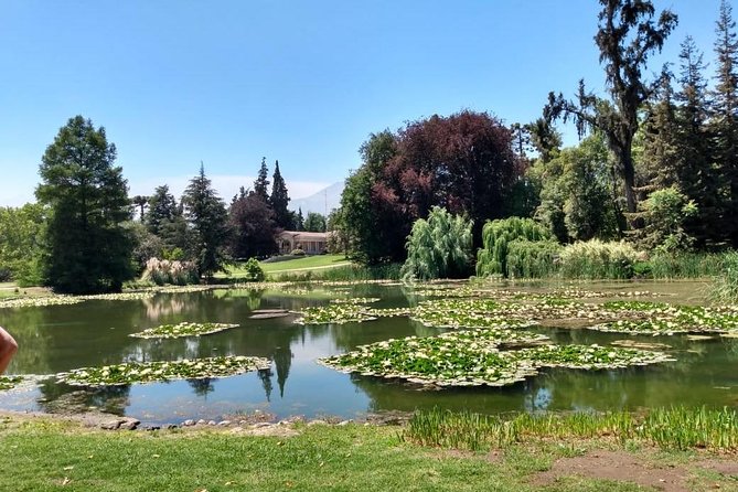 Concha y toro vineyard tour - Additional Details and Practical Tips