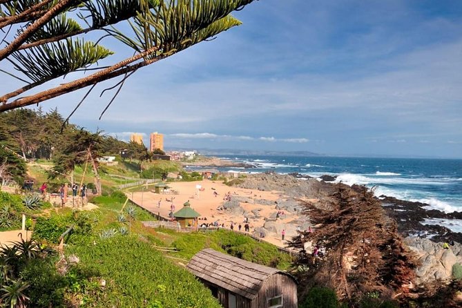 Pomaire and Black Island Tour - Final Thoughts: Is This Tour Right for You?