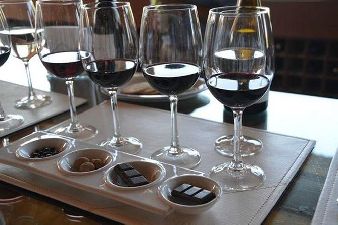 Private Tour: Undurraga Vineyard Experience with Premium Wine Tasting - Exploring the Undurraga Vineyard Experience in Detail