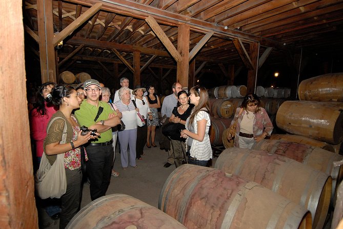 Semi-Private Premium Wine Tour at Santa Rita Winery - A Closer Look at the Semi-Private Premium Wine Tour at Santa Rita Winery