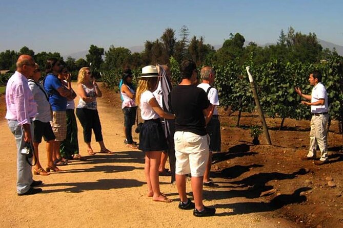 Private Winery Undurraga from Santiago - Who Should Consider This Tour?