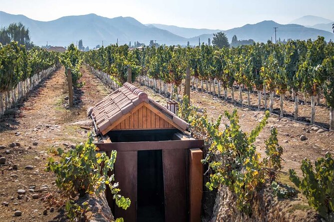 Private Winery Undurraga from Santiago - Frequently Asked Questions