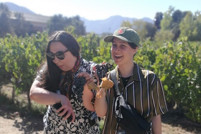 Exclusive-Casablanca-Wine-tours-Three lunch options - Key Points