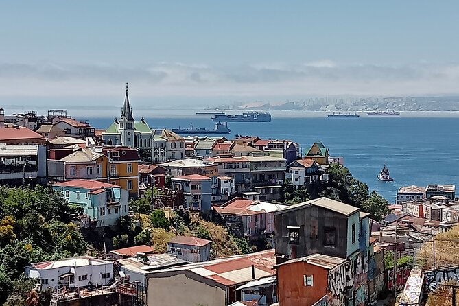 A Private Day Trip to Viña del Mar and Valparaíso from Santiago - Exploring the Highlights of the Tour