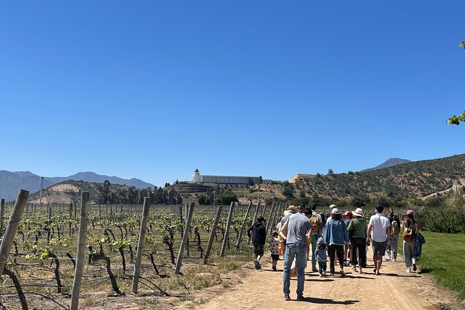 Full Day Private Tour in Casablanca Valparaíso and Viña del Mar - Key Points