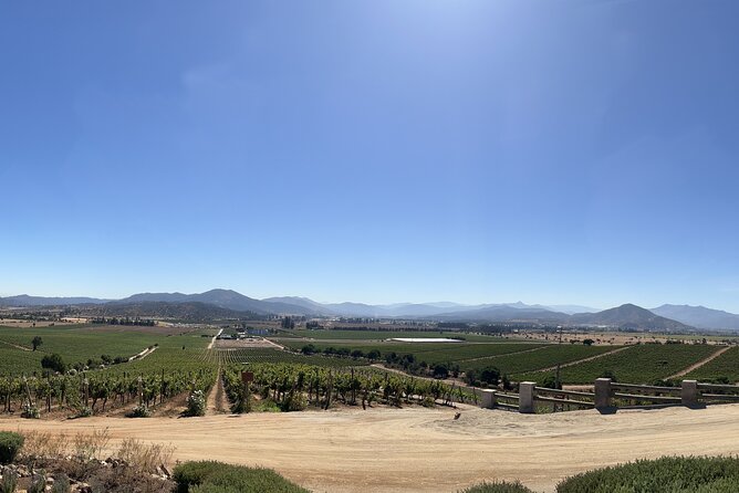 Wine Tasting Tour to Casablanca Valley (Wine Region) - Key Points