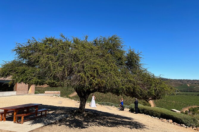 Wine Tasting Tour to Casablanca Valley (Wine Region) - Addressing the Mixed Reviews: What Travelers Say