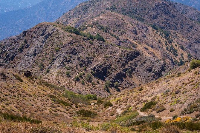 Experience Wildlife Encounter in Provincia Mountain of Chile. - Who Is This Tour Best For?