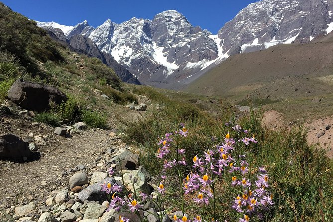 Juncal Andean Park: Hiking over a Glacial Tongue - Final Thoughts