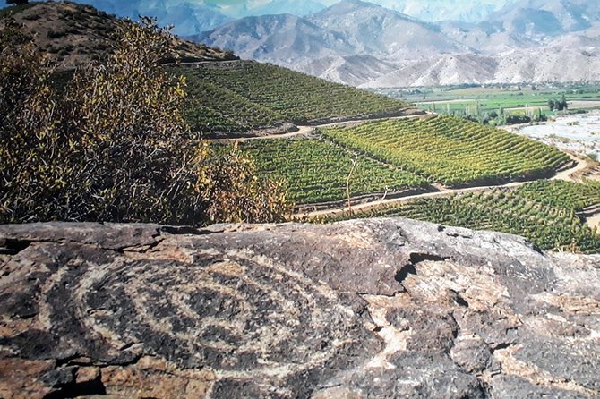 Portillo Inca Lagoon in Los Andes + Local Vineyard Tour - FAQ