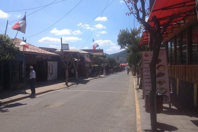 Private Full-Day Guided Valparaiso and Vina Del Mar Tour from Santiago - Key Points