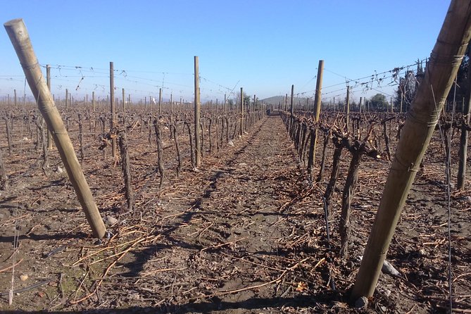 Full day private wine tour casablanca valley from Santiago - Final Thoughts on the Full-Day Casablanca Valley Wine Tour