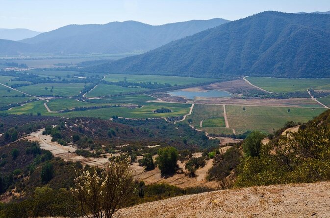 Full day private wine tour casablanca valley from Santiago - An Authentic Chilean Wine Experience: Full Day Private Tour of Casablanca Valley from Santiago