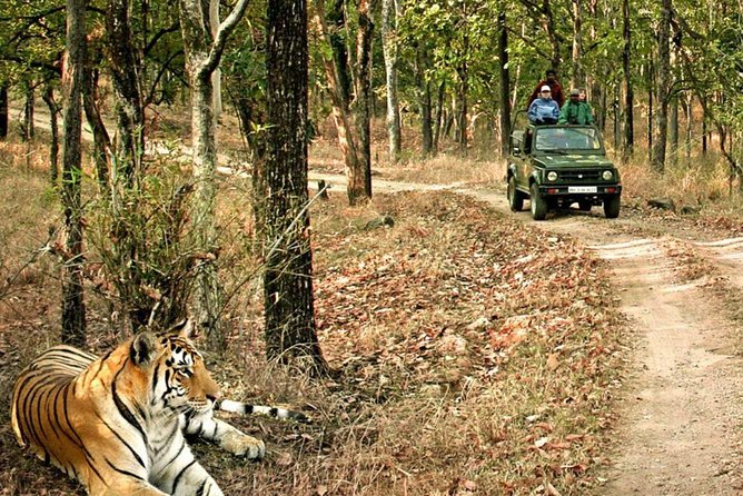 03 Days Private Wildlife Ranthambore Tiger Tour from Jaipur - Transportation and Comfort
