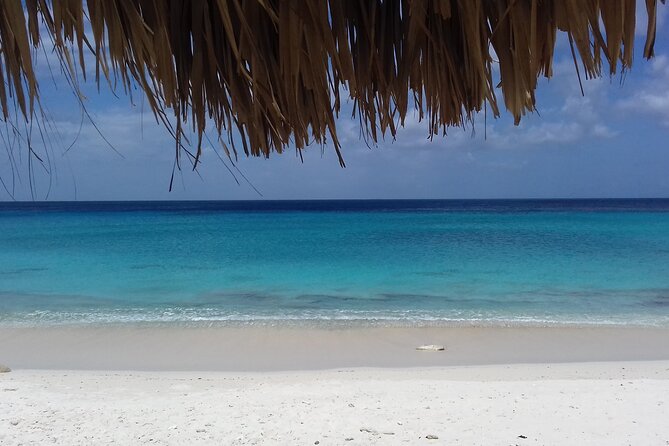 Best of the West: Shete Boka, Flamingos, Kalki Beach and Kenepa - A Deep Dive into the West Coast Adventure